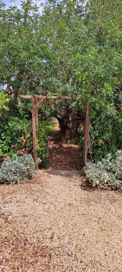 Finca Gamundi L'Ampolla Εξωτερικό φωτογραφία