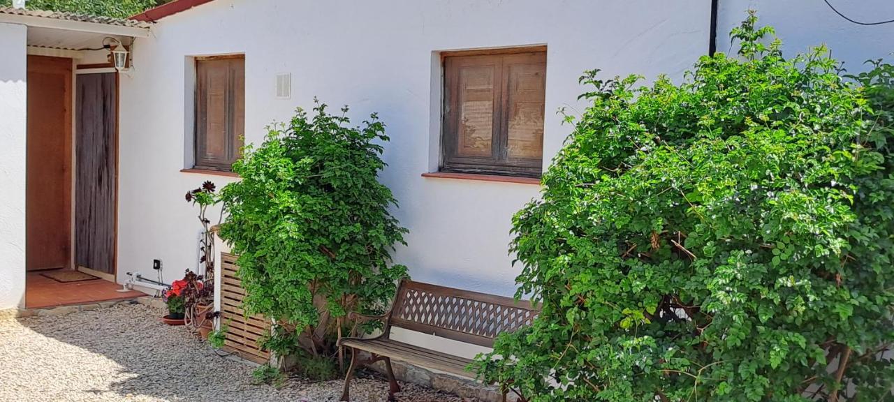 Finca Gamundi L'Ampolla Εξωτερικό φωτογραφία