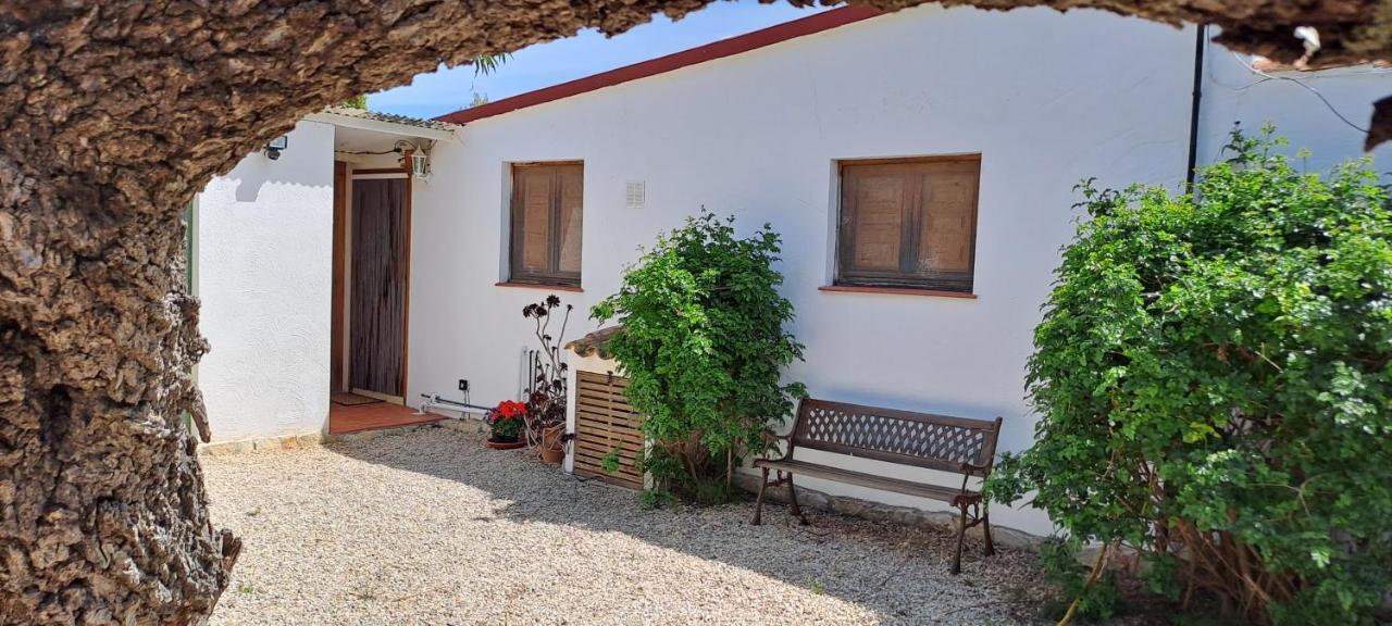 Finca Gamundi L'Ampolla Εξωτερικό φωτογραφία