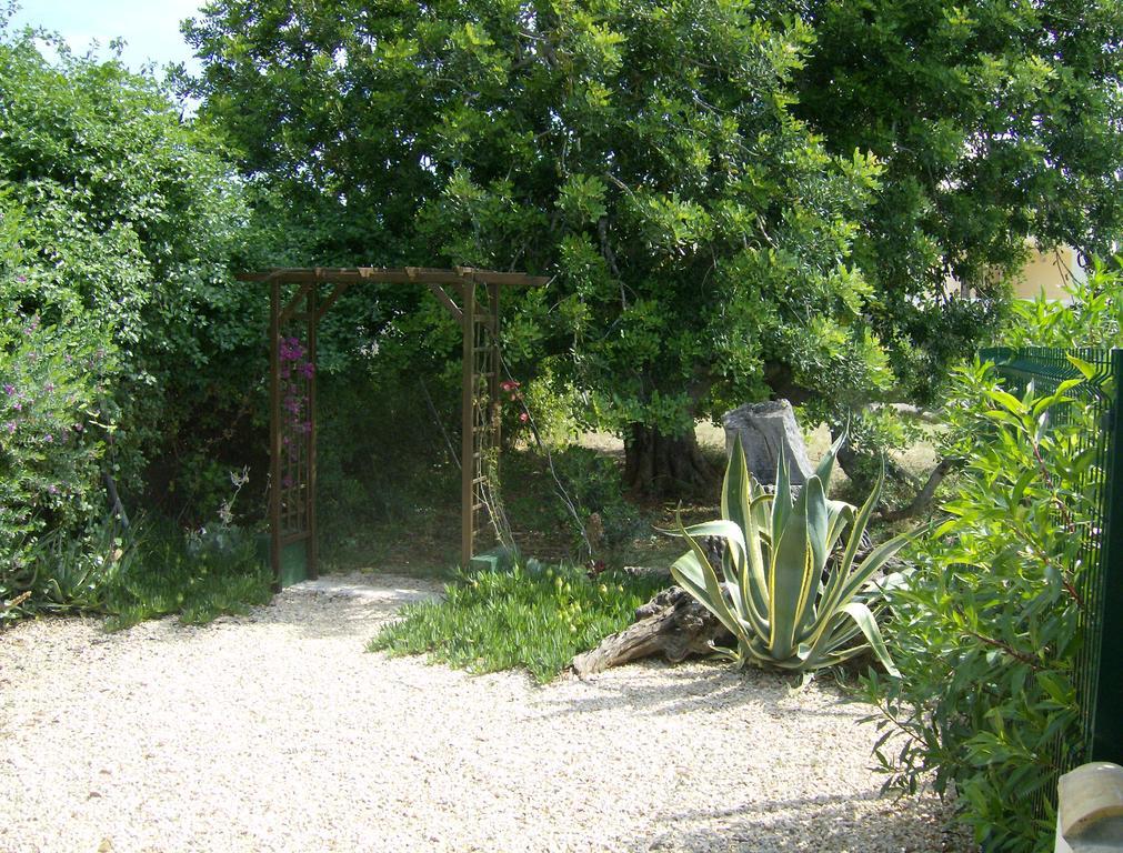 Finca Gamundi L'Ampolla Εξωτερικό φωτογραφία