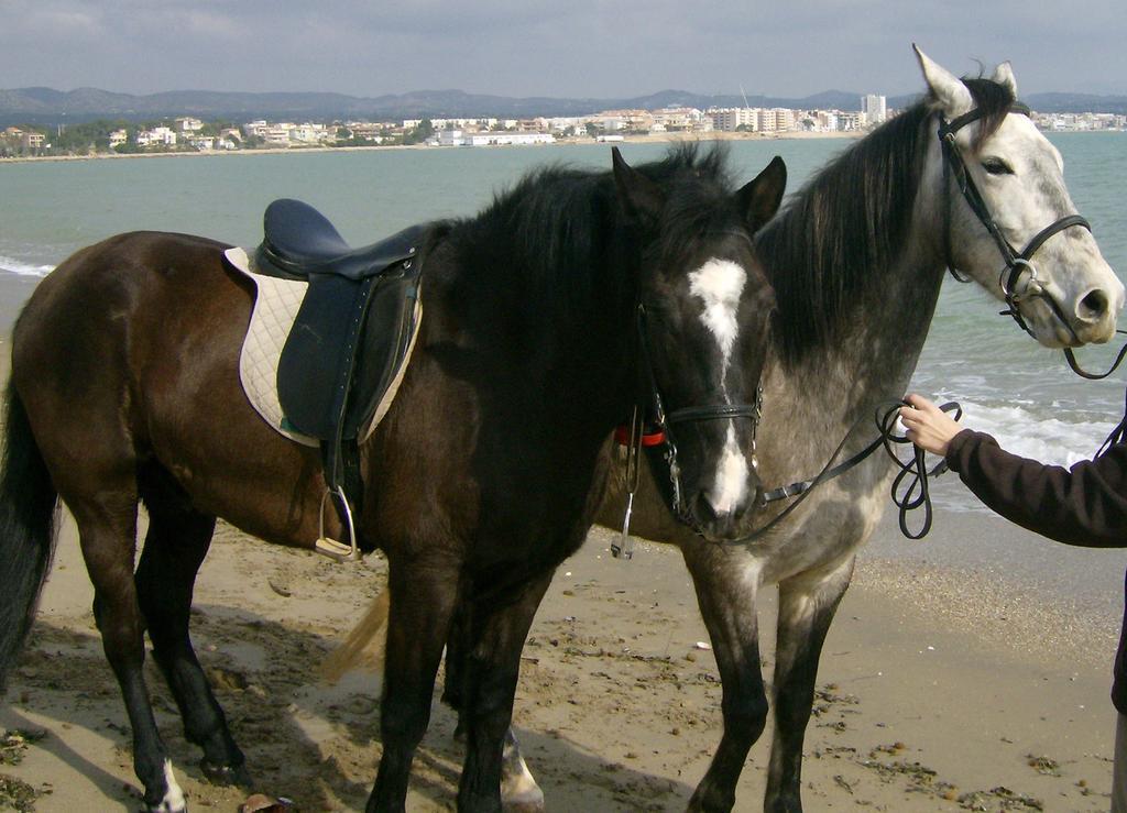 Finca Gamundi L'Ampolla Εξωτερικό φωτογραφία